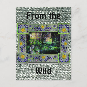 Carte Postale Dans les bois
