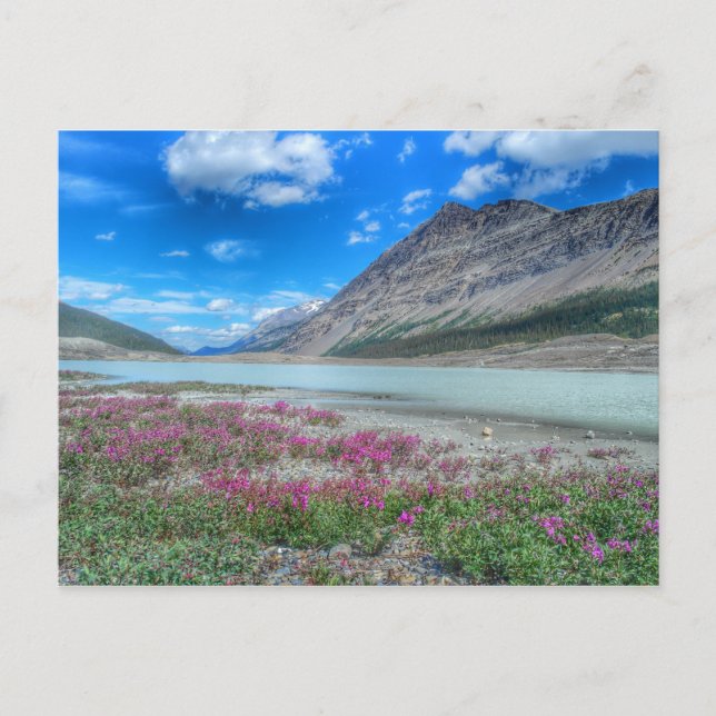 Carte Postale Dans les Rocheuses de banff (Devant)