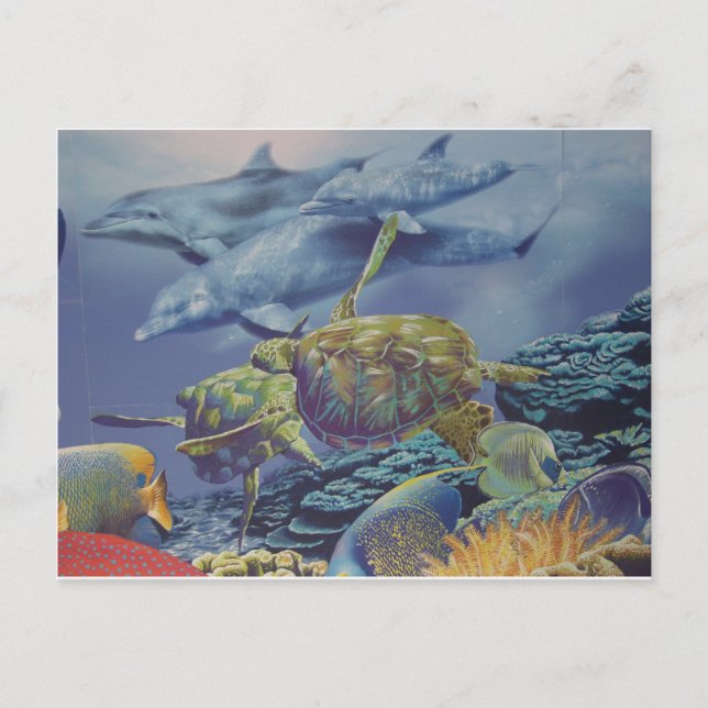 Carte Postale Danse dauphin avec poisson tropical (Devant)