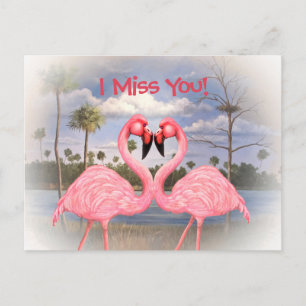 Carte Postale Danse Flamant rose