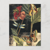 Dark Nature Scene par Vision Studio