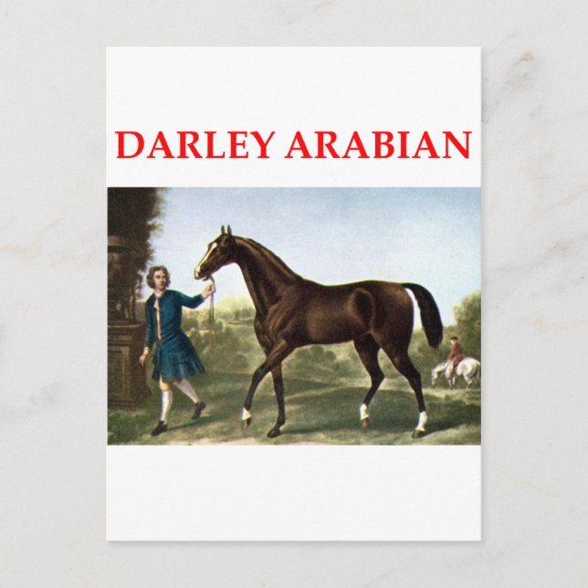Carte Postale darley arabian (Devant)
