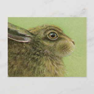 Carte postale d'art animal lapin