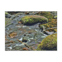 Dart de la rivière Dartmeet Dartmoor
