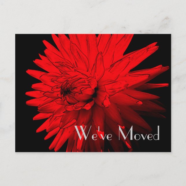 Carte postale d'art floral Dahlia Nouvelle Adresse (Devant)