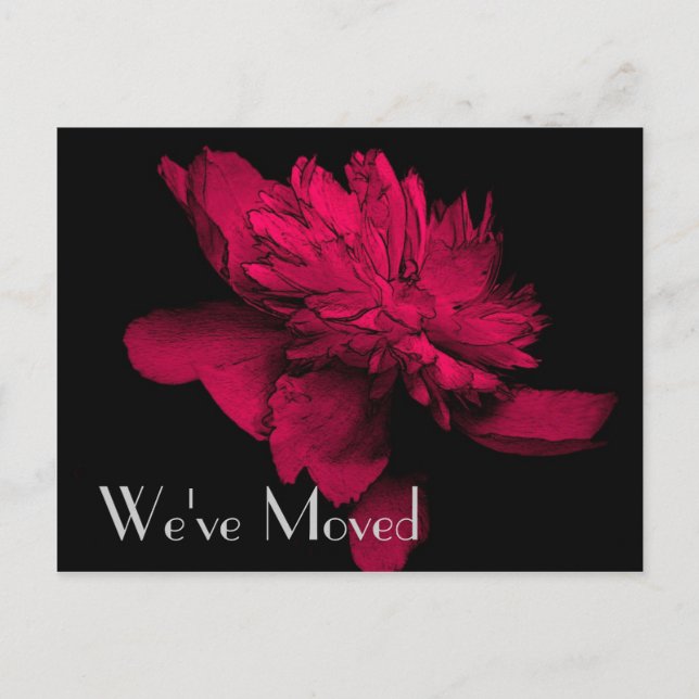 Carte postale d'art floral de pivoine rouge brûlan (Devant)