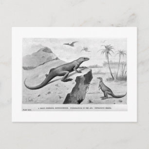 Carte postale d'art Hypsilophodon