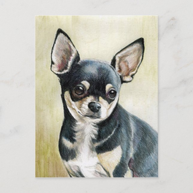 Carte postale d'art original Chihuahua (Devant)