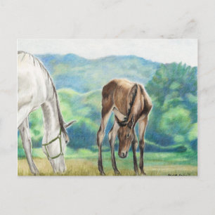Carte postale d'art original Mare & Foal