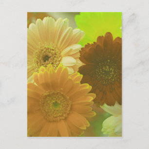 Carte postale d'art photo de fleur de gerbera jaun