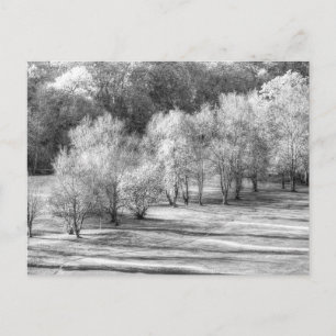 Carte Postale Dartmoor Morning Frost Monochrome