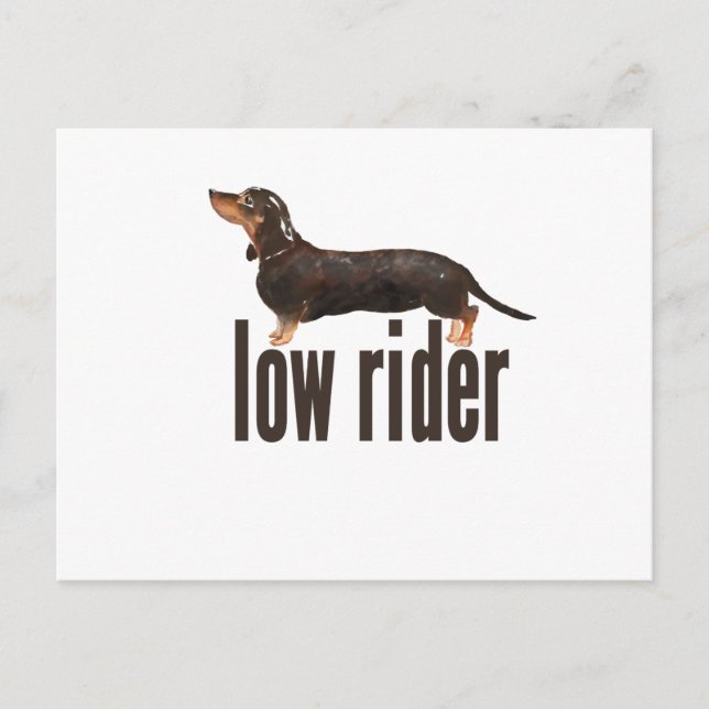 Carte Postale Daschund Saucisse Chien (Devant)