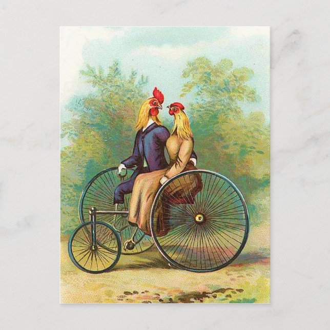 Carte Postale Date du vélo romantique Rooster (Devant)