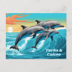 Carte Postale Dauphin de Turc et Caicos