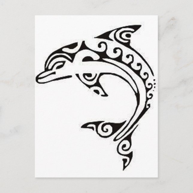 Carte Postale Dauphin maori (Devant)