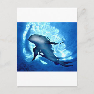 Carte Postale Dauphin mystique.jpg