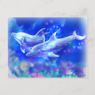 Carte Postale Dauphins