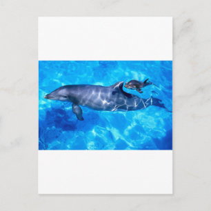 Carte Postale dauphins