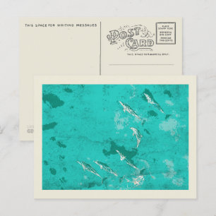 Carte Postale Dauphins dans la mer des Caraïbes