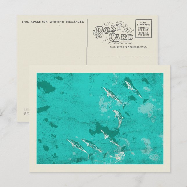 Carte Postale Dauphins dans la mer des Caraïbes (Devant / Derrière)