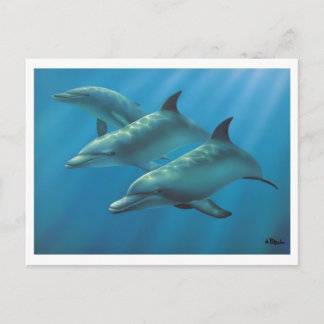 Carte Postale Dauphins par Andrew Patsalou