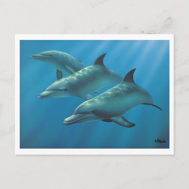 Carte Postale Dauphins par Andrew Patsalou (Devant)