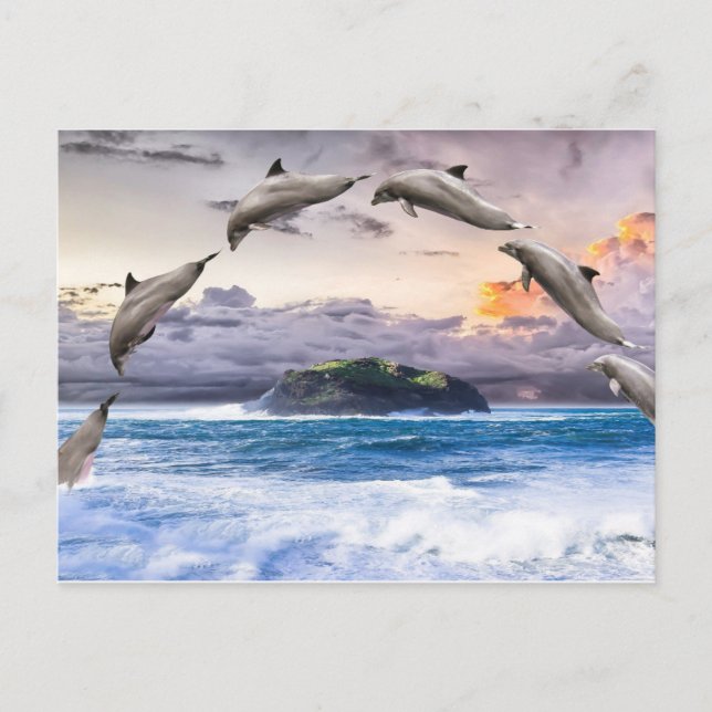 Carte Postale Dauphins volants (Devant)