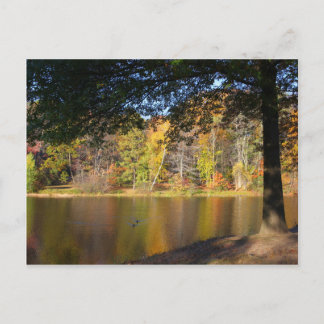 Carte postale d'automne Rockwell Park Bristol CT