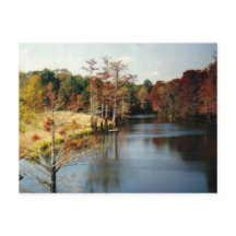 Carte postale d'automne sur le Bayou