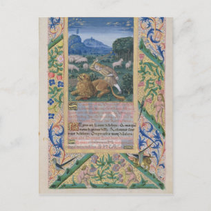 Carte Postale David défend les brebis de son père contre un