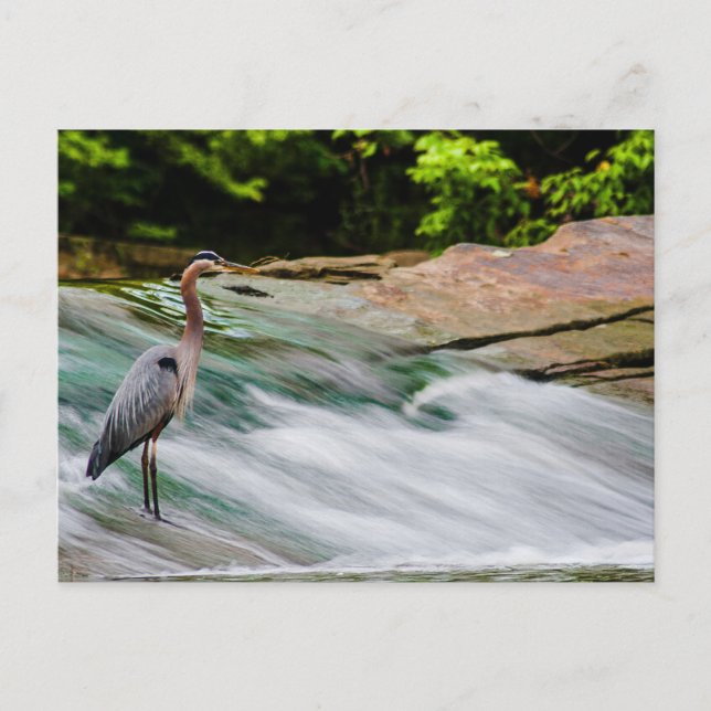 Carte Postale David Fortier River Park, Olmsted Falls, Ohio (Devant)