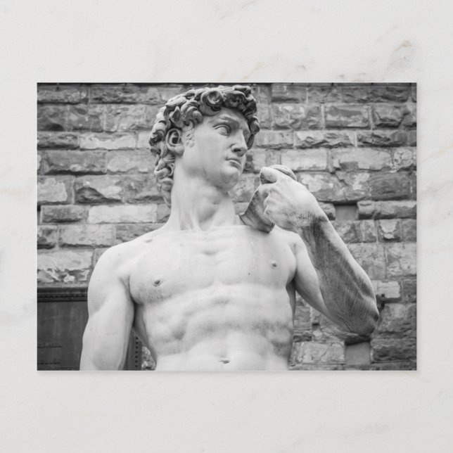 Carte Postale David (Michel-Ange) (Devant)