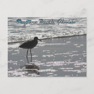 Carte postale Daytona Beach
