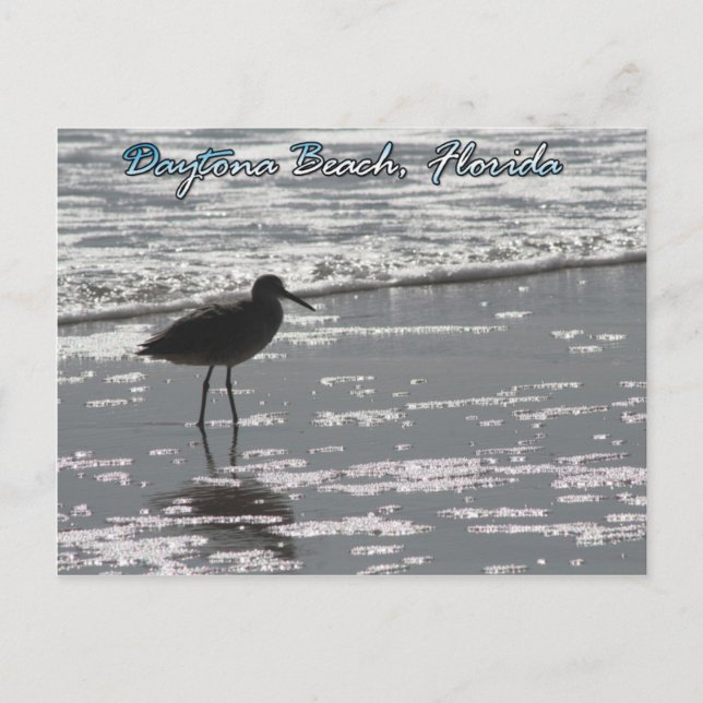 Carte postale Daytona Beach (Devant)