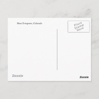 Carte postale de À feuillage persistant, Colorado