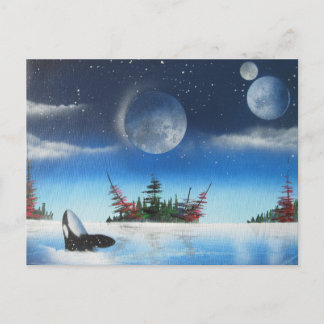 Carte postale de baleine