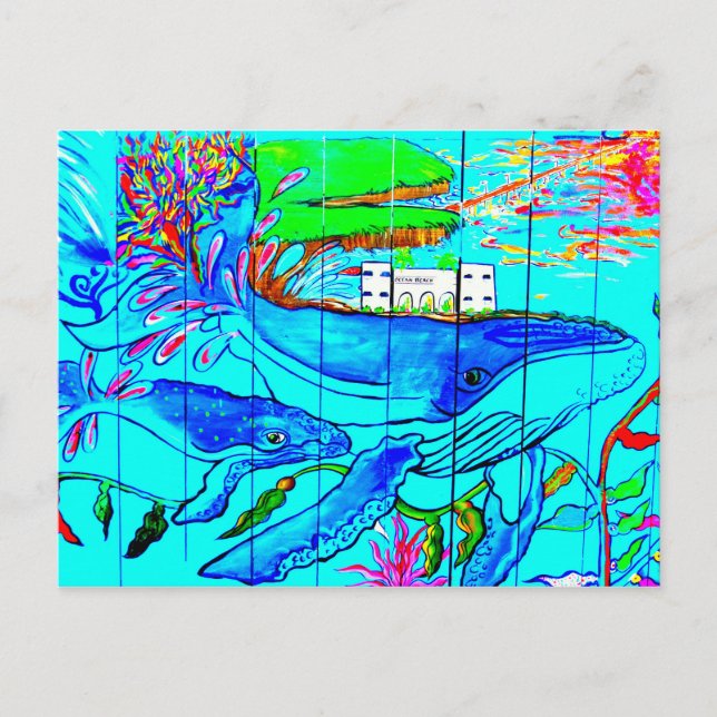 carte postale de baleines à bosse (Devant)