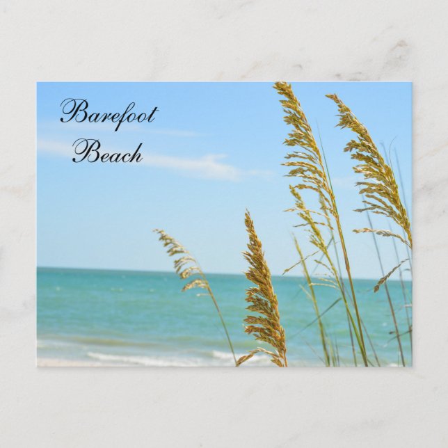 Carte postale de Barefoot Beach (Devant)