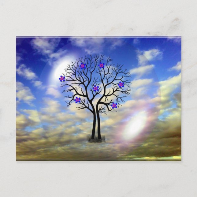 Carte postale de beauté (Devant)