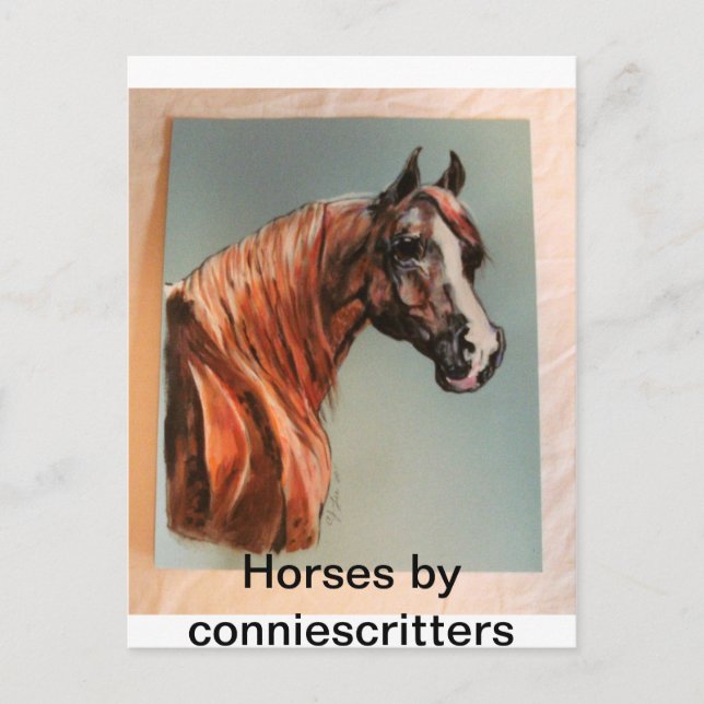Carte Postale De beaux chevaux par conniescritures (Devant)