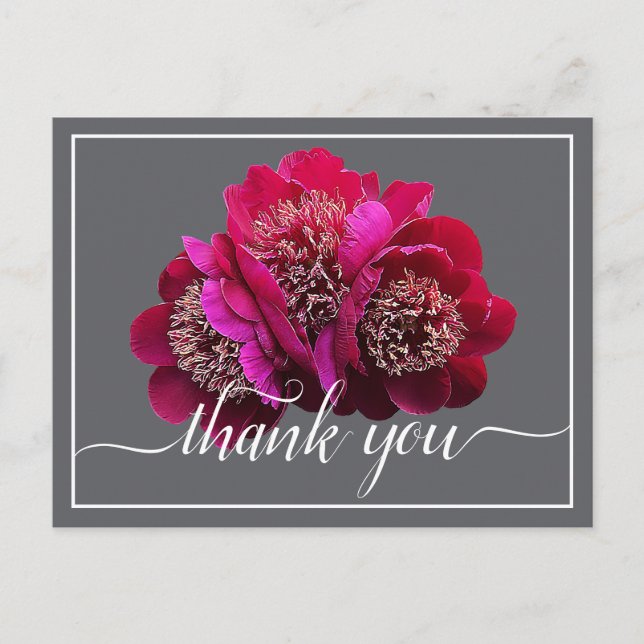 Carte Postale De belles pivoines cramoisies couleur de fond Merc (Devant)
