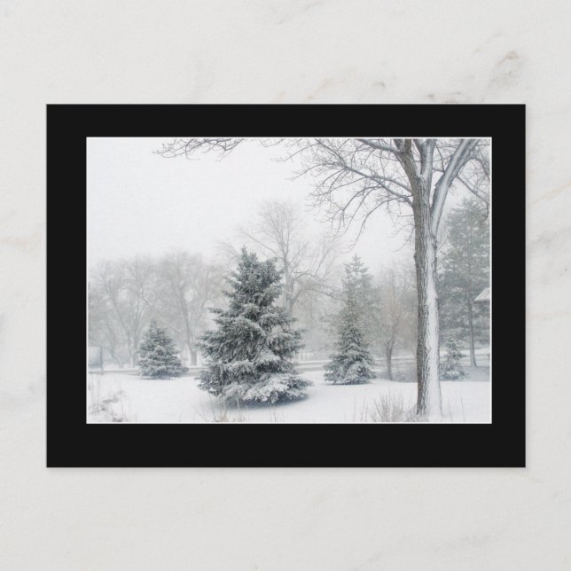 Carte postale de Blizzard Magnifique - Personnalis (Devant)