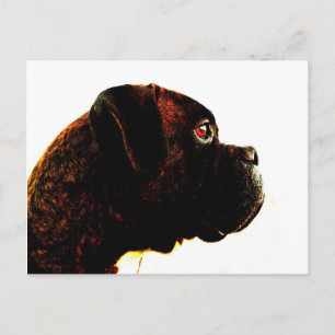 Carte postale de boxer Brindle