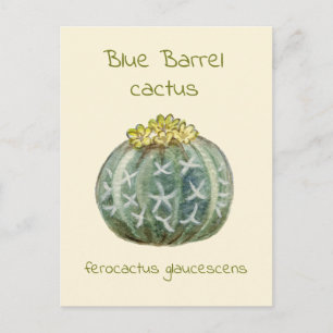 Carte postale de cactus à baril bleu