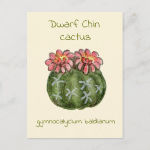 Carte postale de cactus Gymnocalycium Baldianum