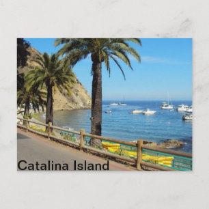 Carte postale de Catalina Island