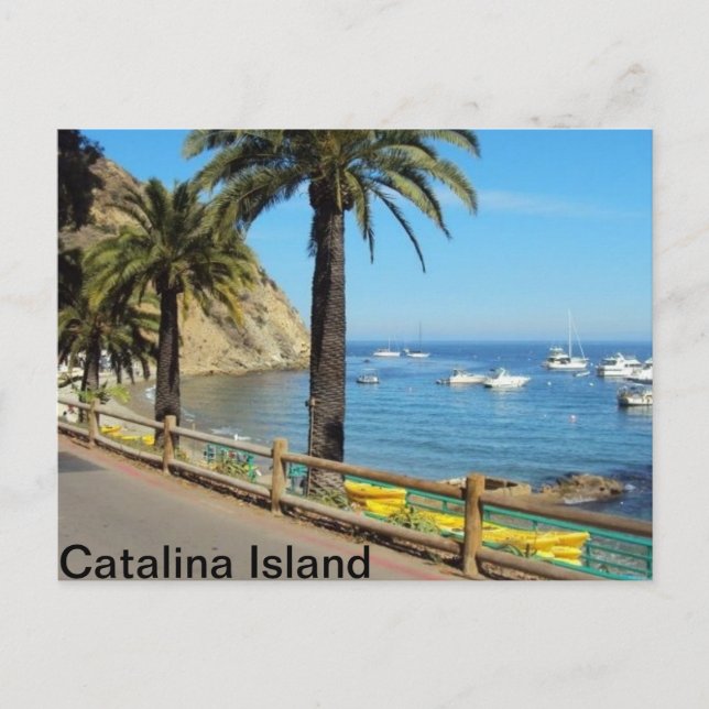 Carte postale de Catalina Island (Devant)