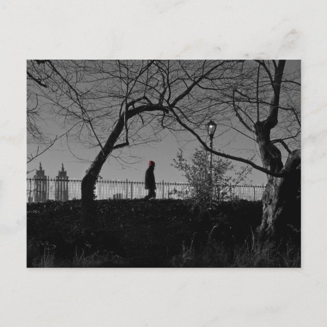 Carte postale de Central Park (Devant)