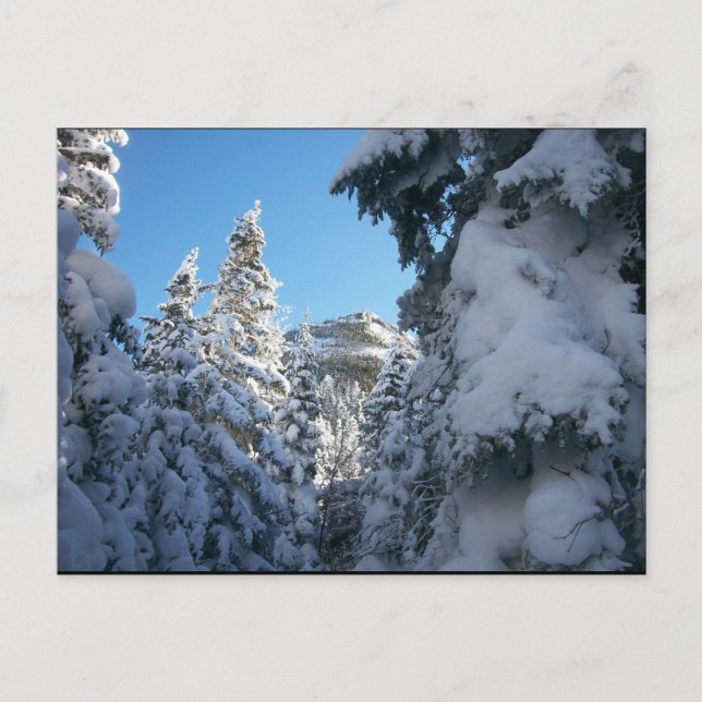 Carte Postale De cette façon, au sommet. (Devant)