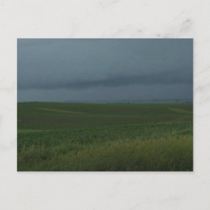 Carte postale de champ Stormy